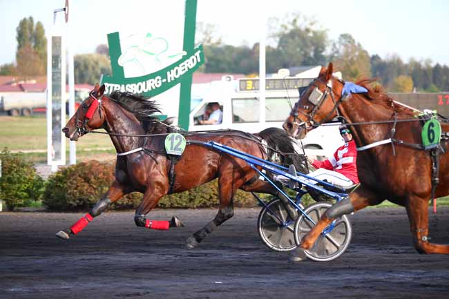 Photo d'arrivée de la course pmu PRIX PODOSIS à STRASBOURG le Mercredi 17 octobre 2018