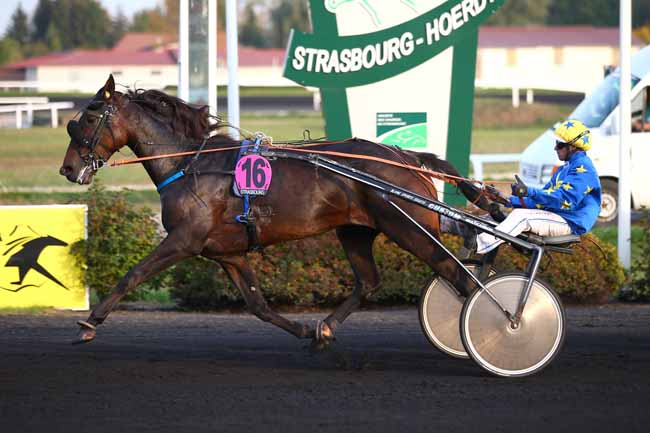 Photo d'arrivée de la course pmu PRIX DE GROSBOIS à STRASBOURG le Mercredi 17 octobre 2018