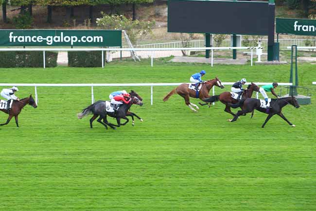 Photo d'arrivée de la course pmu PRIX DE PIAN MEDOC à SAINT-CLOUD le Mercredi 17 octobre 2018