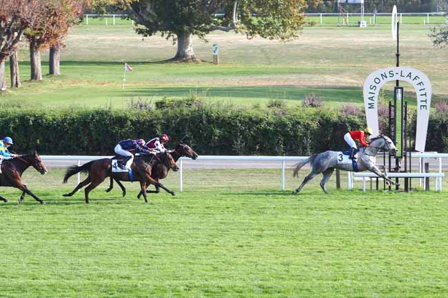 Photo d'arrivée de la course pmu PRIX DE CARRIERES-SOUS-POISSY à MAISONS-LAFFITTE le Vendredi 19 octobre 2018