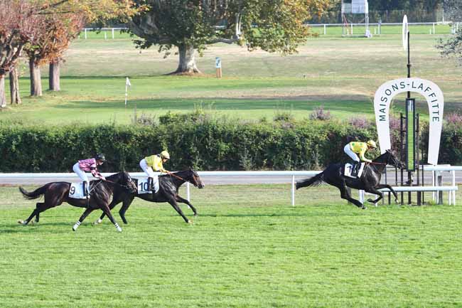 Photo d'arrivée de la course pmu PRIX DU CERCLE DE LA GLOIRE à MAISONS-LAFFITTE le Vendredi 19 octobre 2018