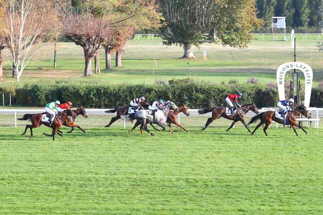 Photo d'arrivée de la course pmu PRIX DE L'AVENUE MADAME DE SEVIGNE à MAISONS-LAFFITTE le Vendredi 19 octobre 2018