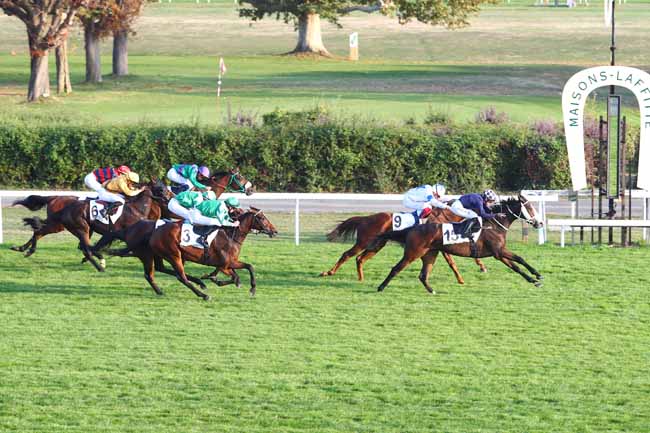 Photo d'arrivée de la course pmu PRIX DE L'AVENUE DE LA FONTAINE à MAISONS-LAFFITTE le Vendredi 19 octobre 2018