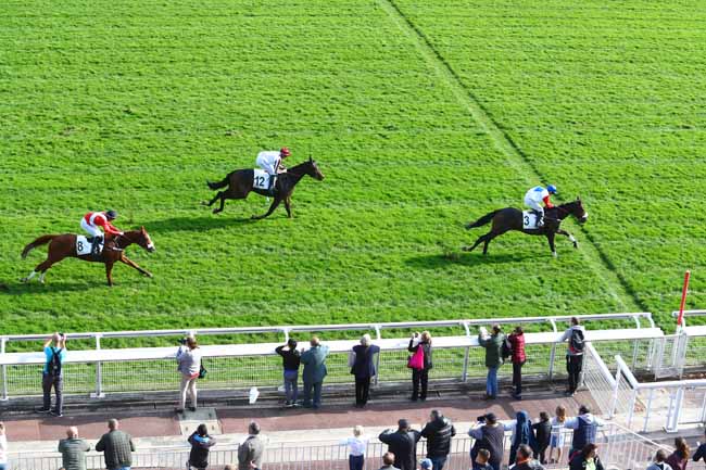Photo d'arrivée de la course pmu PRIX EMILIUS à AUTEUIL le Samedi 20 octobre 2018