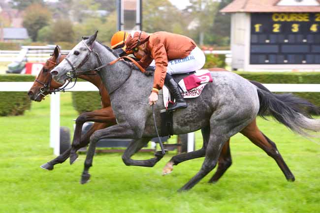 Photo d'arrivée de la course pmu PRIX DES PENSEES à CLAIREFONTAINE le Lundi 22 octobre 2018