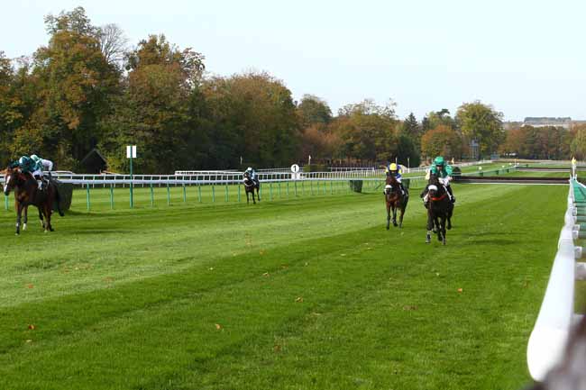 Photo d'arrivée de la course pmu PRIX LOGGIA à COMPIEGNE le Mardi 23 octobre 2018