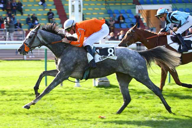 Photo d'arrivée de la course pmu PRIX LA FREGATE à COMPIEGNE le Mardi 23 octobre 2018