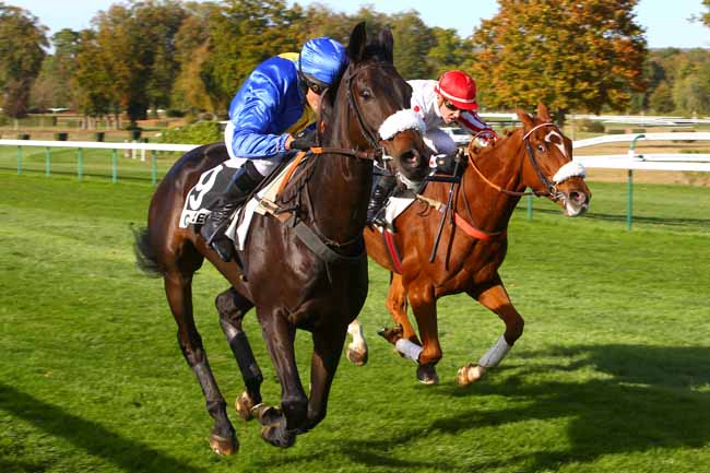 Photo d'arrivée de la course pmu PRIX HURON à COMPIEGNE le Mardi 23 octobre 2018