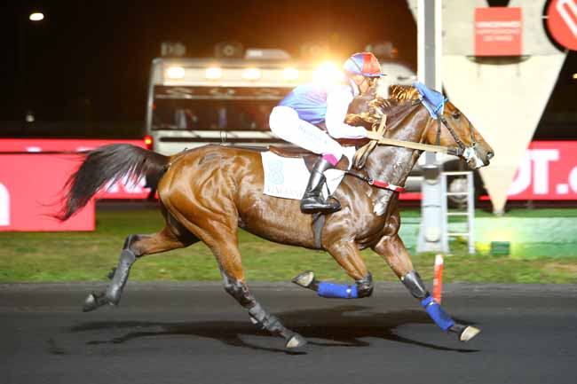 Photo d'arrivée de la course pmu PRIX ORION à PARIS-VINCENNES le Mardi 23 octobre 2018