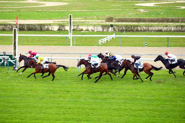 Photo d'arrivée de la course pmu PRIX DE LEXINGTON à DEAUVILLE le Mercredi 24 octobre 2018
