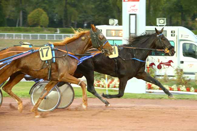 Photo d'arrivée de la course pmu PRIX DE SAINT-AMAND-LES-EAUX à ENGHIEN le Mercredi 24 octobre 2018