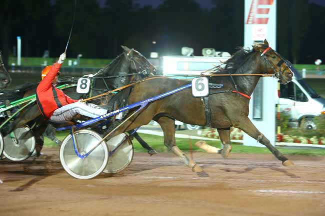 Photo d'arrivée de la course pmu PRIX DE SEVRAN à ENGHIEN le Mercredi 24 octobre 2018