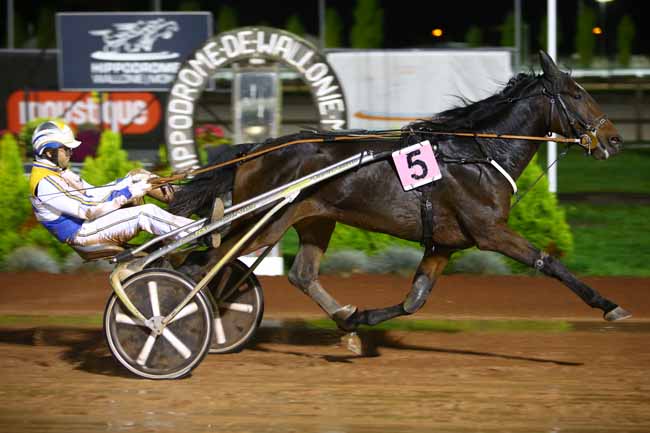 Photo d'arrivée de la course pmu PRIX RENCONTRE BELGIQUE/FRANCE NORD-EST à MONS (GHLIN) le Vendredi 26 octobre 2018