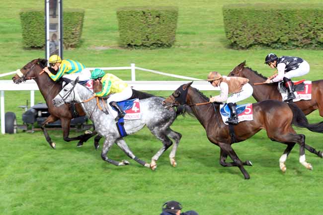 Photo d'arrivée de la course pmu PRIX APERITIFS NORMANDS FROMAGERIES GRAINDORGE & IDAC à CLAIREFONTAINE le Vendredi 26 octobre 2018