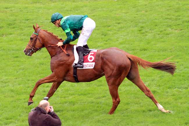 Photo d'arrivée de la course pmu PRIX HIPPOWEEN à CLAIREFONTAINE le Vendredi 26 octobre 2018