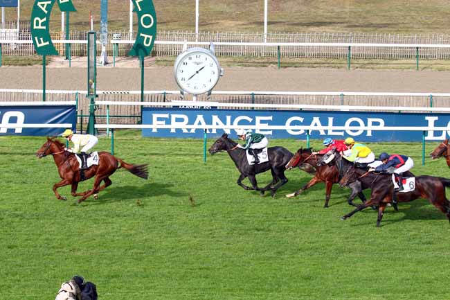 Photo d'arrivée de la course pmu PRIX DE ROUVRAY à CHANTILLY le Dimanche 28 octobre 2018