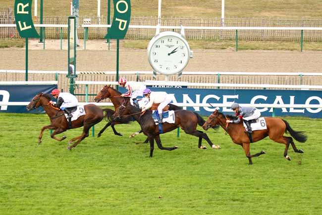Photo d'arrivée de la course pmu PRIX DE CHATEAU ROUGE à CHANTILLY le Dimanche 28 octobre 2018