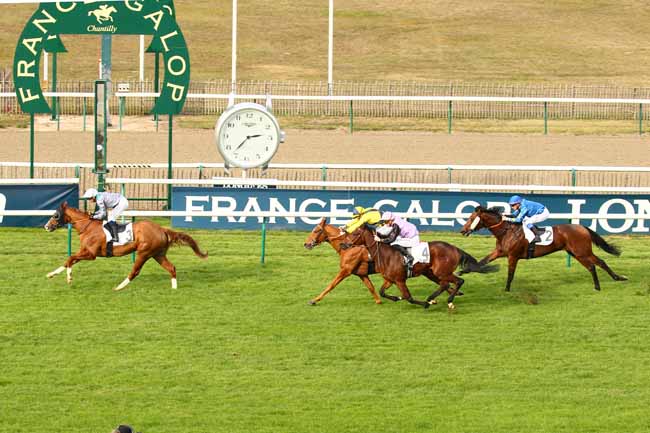Photo d'arrivée de la course pmu PRIX DU PONT DE SULLY à CHANTILLY le Dimanche 28 octobre 2018