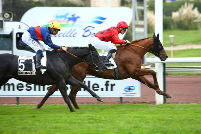 Photo d'arrivée de la course pmu PRIX GYPTIS ET PROTIS à MARSEILLE-BORELY le Lundi 29 octobre 2018