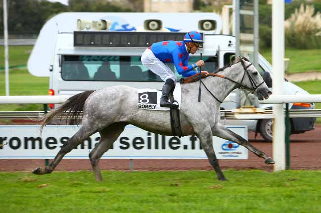 Photo d'arrivée de la course pmu HANDICAP DE MARSEILLE à MARSEILLE-BORELY le Lundi 29 octobre 2018