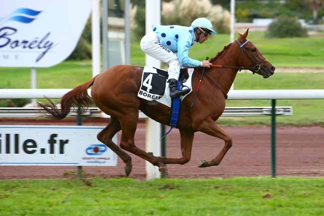 Photo d'arrivée de la course pmu PRIX INDIA SONG à MARSEILLE-BORELY le Lundi 29 octobre 2018