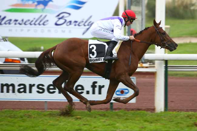 Photo d'arrivée de la course pmu PRIX DU PRADO à MARSEILLE-BORELY le Lundi 29 octobre 2018