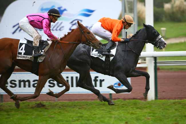Photo d'arrivée de la course pmu PRIX DE MANOSQUE à MARSEILLE-BORELY le Lundi 29 octobre 2018