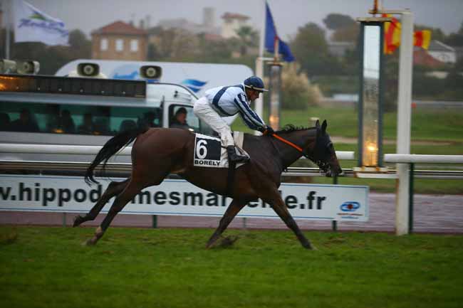 Photo d'arrivée de la course pmu PRIX DES SOCIETAIRES à MARSEILLE-BORELY le Lundi 29 octobre 2018