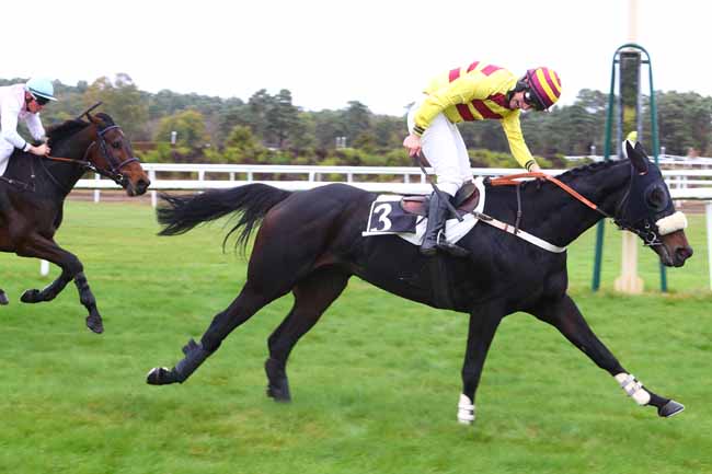 Photo d'arrivée de la course pmu PRIX WWW.COURSESCHEVAUX.FR à FONTAINEBLEAU le Mardi 30 octobre 2018