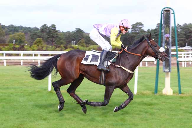 Photo d'arrivée de la course pmu PRIX COLONEL ROBERT LABOUCHE à FONTAINEBLEAU le Mardi 30 octobre 2018