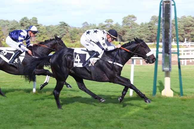 Photo d'arrivée de la course pmu PRIX DE L'HOTEL DE L'AIGLE NOIR à FONTAINEBLEAU le Mardi 30 octobre 2018