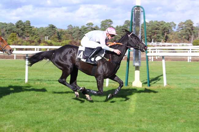 Photo d'arrivée de la course pmu PRIX RICHARD D'AYGUEVIVES à FONTAINEBLEAU le Mardi 30 octobre 2018