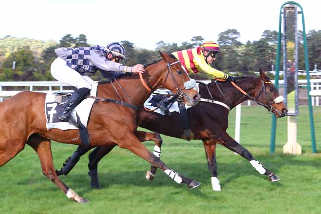 Photo d'arrivée de la course pmu PRIX ENTREPRISE S.N. DUBUISSON à FONTAINEBLEAU le Mardi 30 octobre 2018