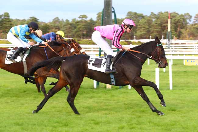 Photo d'arrivée de la course pmu PRIX DU CLUB DES GENTLEMEN-RIDERS ET DES CAVALIERES à FONTAINEBLEAU le Mardi 30 octobre 2018