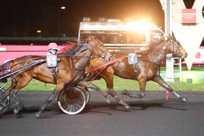 Photo d'arrivée de la course pmu PRIX LAMEIA à PARIS-VINCENNES le Mardi 30 octobre 2018