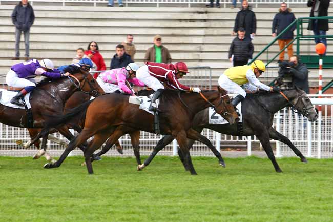Photo d'arrivée de la course pmu PRIX LA SEGA à MAISONS-LAFFITTE le Mercredi 31 octobre 2018