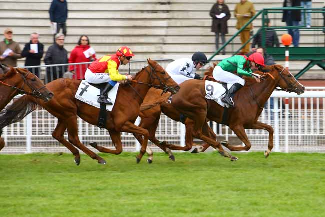 Photo d'arrivée de la course pmu PRIX MIESQUE à MAISONS-LAFFITTE le Mercredi 31 octobre 2018