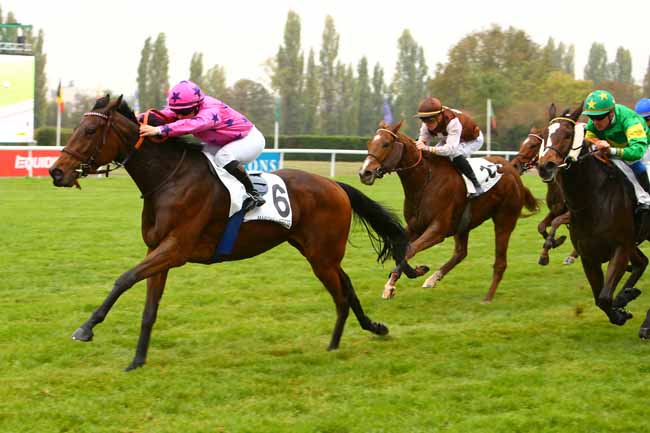 Photo d'arrivée de la course pmu PRIX DE MEZIERES-SUR-SEINE à MAISONS-LAFFITTE le Mercredi 31 octobre 2018