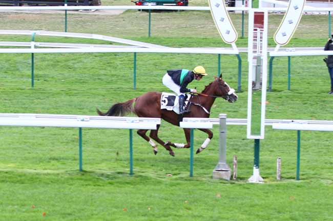 Photo d'arrivée de la course pmu PRIX AL CAPONE II - PRIX BERNARD SECLY à COMPIEGNE le Jeudi 1 novembre 2018