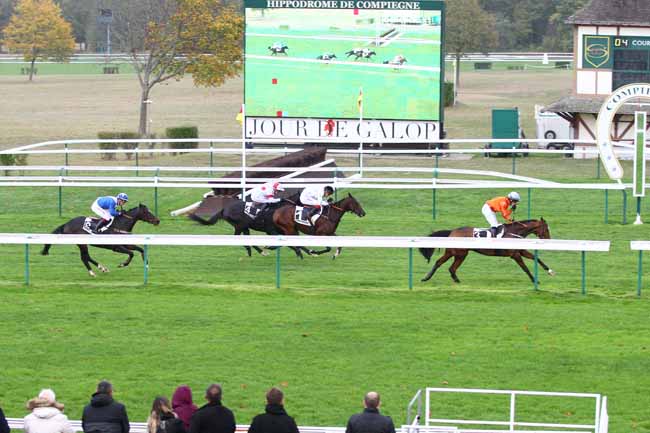 Photo d'arrivée de la course pmu PRIX DE BESANCON à COMPIEGNE le Jeudi 1 novembre 2018