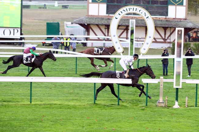 Photo d'arrivée de la course pmu GRAND STEEPLE-CHASE DE COMPIEGNE à COMPIEGNE le Jeudi 1 novembre 2018