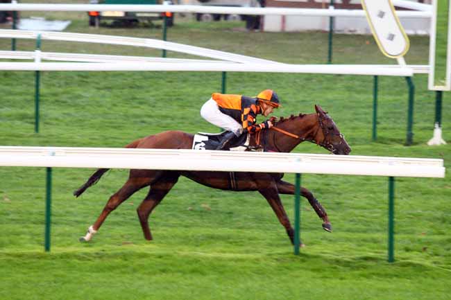 Photo d'arrivée de la course pmu PRIX BUCHEUR à COMPIEGNE le Jeudi 1 novembre 2018
