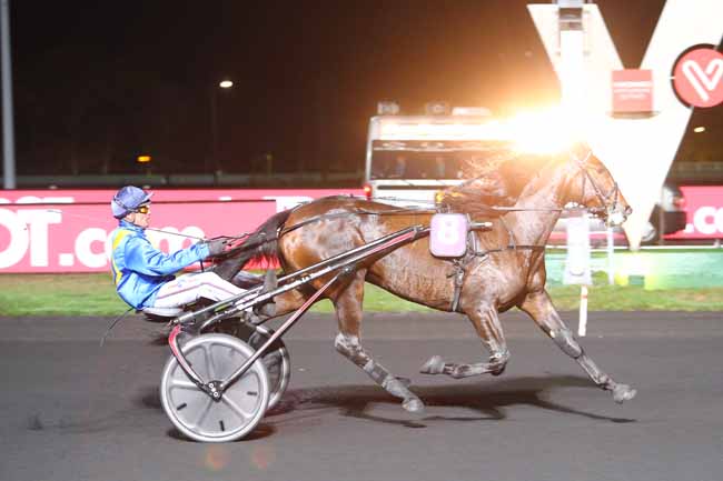 Photo d'arrivée de la course pmu PRIX UNA à PARIS-VINCENNES le Vendredi 2 novembre 2018