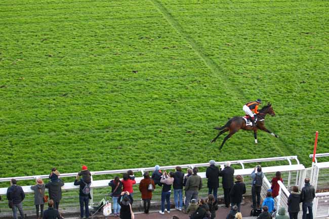 Photo d'arrivée de la course pmu PRIX OENEAS à AUTEUIL le Samedi 3 novembre 2018