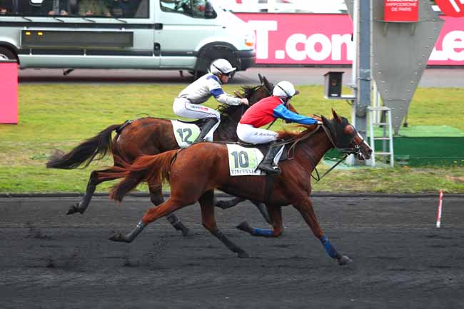 Photo d'arrivée de la course pmu PRIX D'ANGERS à PARIS-VINCENNES le Lundi 5 novembre 2018