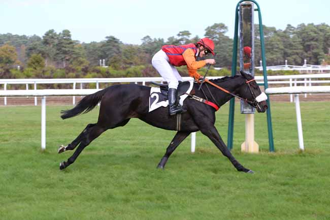 Photo d'arrivée de la course pmu PRIX DU CONSEIL MUNICIPAL DE CHAMPAGNE-SUR-SEINE à FONTAINEBLEAU le Lundi 5 novembre 2018