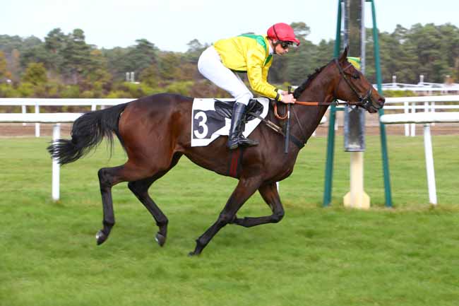 Photo d'arrivée de la course pmu PRIX HENRY MAZE-SENCIER à FONTAINEBLEAU le Lundi 5 novembre 2018