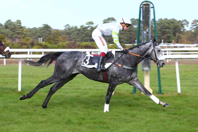 Photo d'arrivée de la course pmu PRIX BARON MAURICE DE NEXON à FONTAINEBLEAU le Lundi 5 novembre 2018