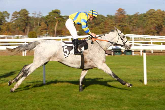 Photo d'arrivée de la course pmu PRIX ESMONDO à FONTAINEBLEAU le Lundi 5 novembre 2018