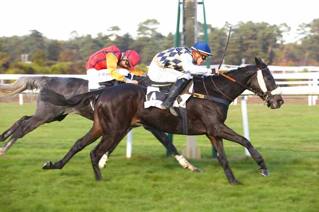 Photo d'arrivée de la course pmu PRIX DE LA CHAMBRE DE COMMERCE ET D'INDUSTRIE DE SEINE ET MARNE à FONTAINEBLEAU le Lundi 5 novembre 2018